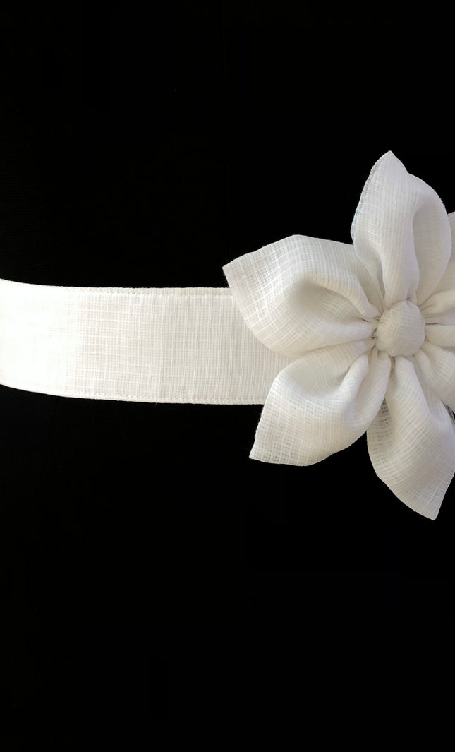 Waist belt