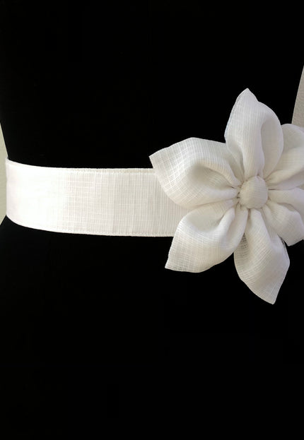 Waist belt