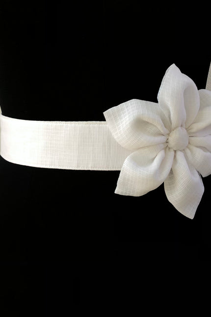 Waist belt
