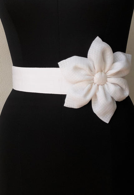 Waist belt