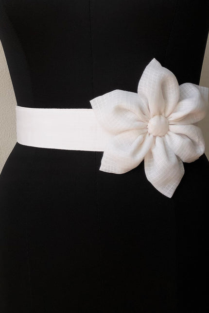 Waist belt
